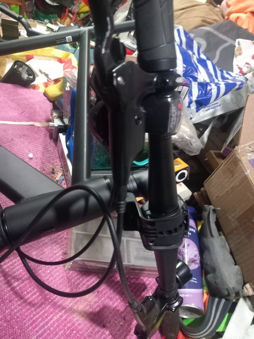 Bicicleta  elops.   ,