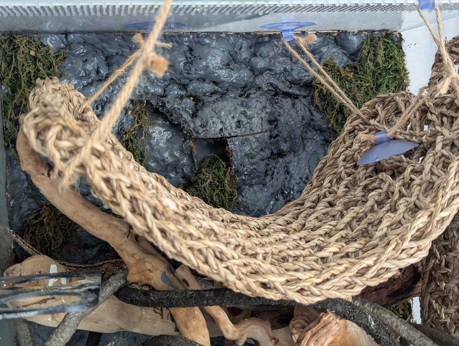 Terrarium bioaktywne 40x40x60 mały las