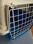 Transportadora gato