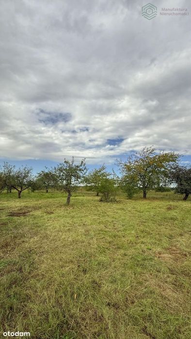 Opole/ Grotowice Atrakcyjna Działka U Zgiełku Mias