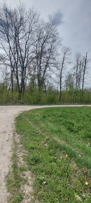 Продаж земельної ділянки в с. Велика Березовиця