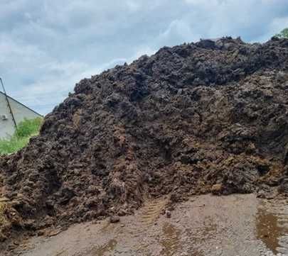 Sprzedam obornik bydlęcy z dostawą