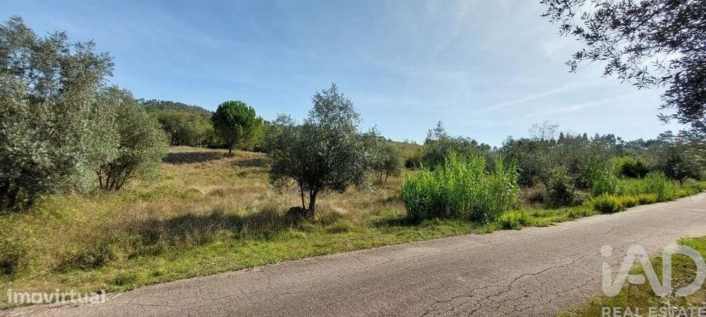 Terreno Agrícola em Colmeias e Memória