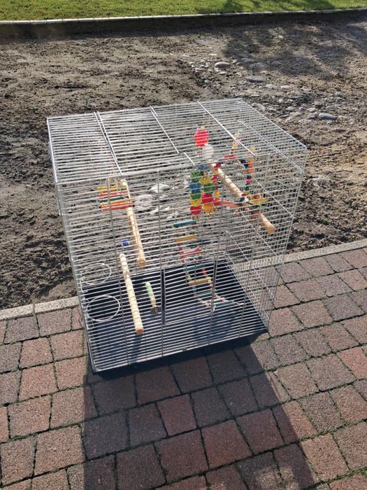 Klatka dla papug z dodatkami