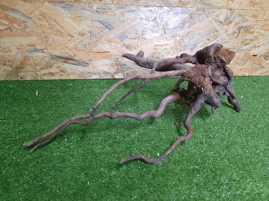 Korzeń do akwarium Red Moore Wood nr 996 o wymiarach 48/33/18