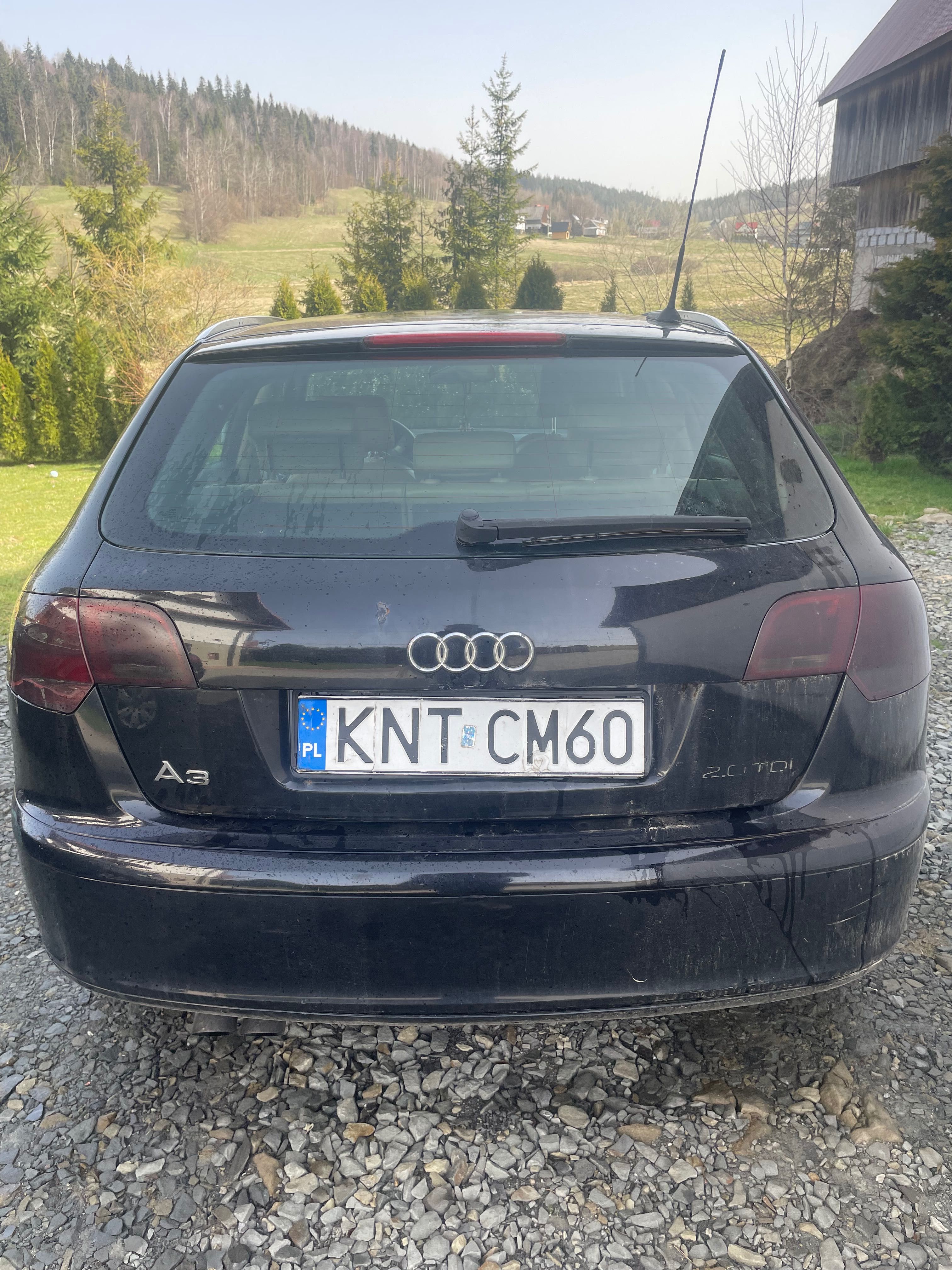 Audi A3 8P 2.0TDI 2006