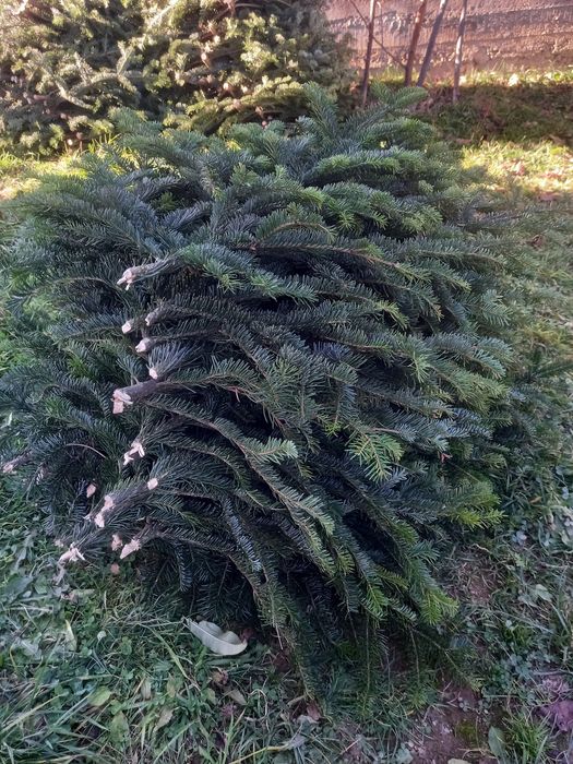 Гілочки для декору та в'язані ялинки мотанки оптом і вроздріб