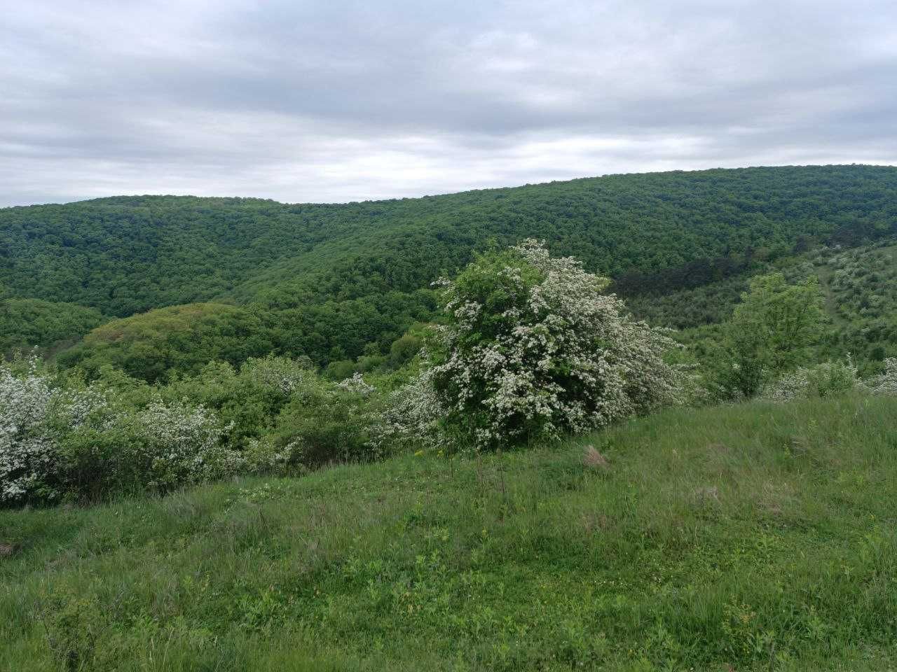 Земельна ділянка