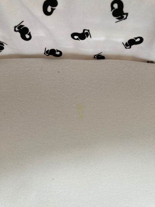 Kosz Mojżesza z materacykiem