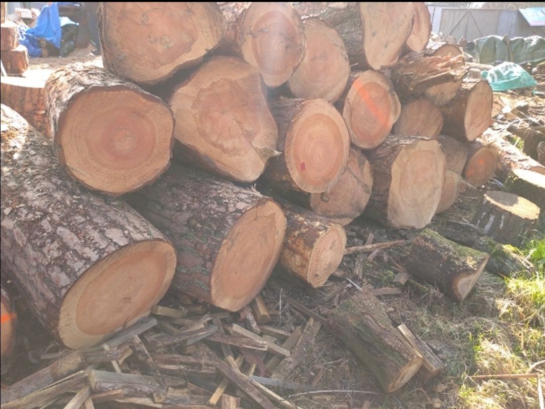 Sprzedam drewno opalowe liściaste