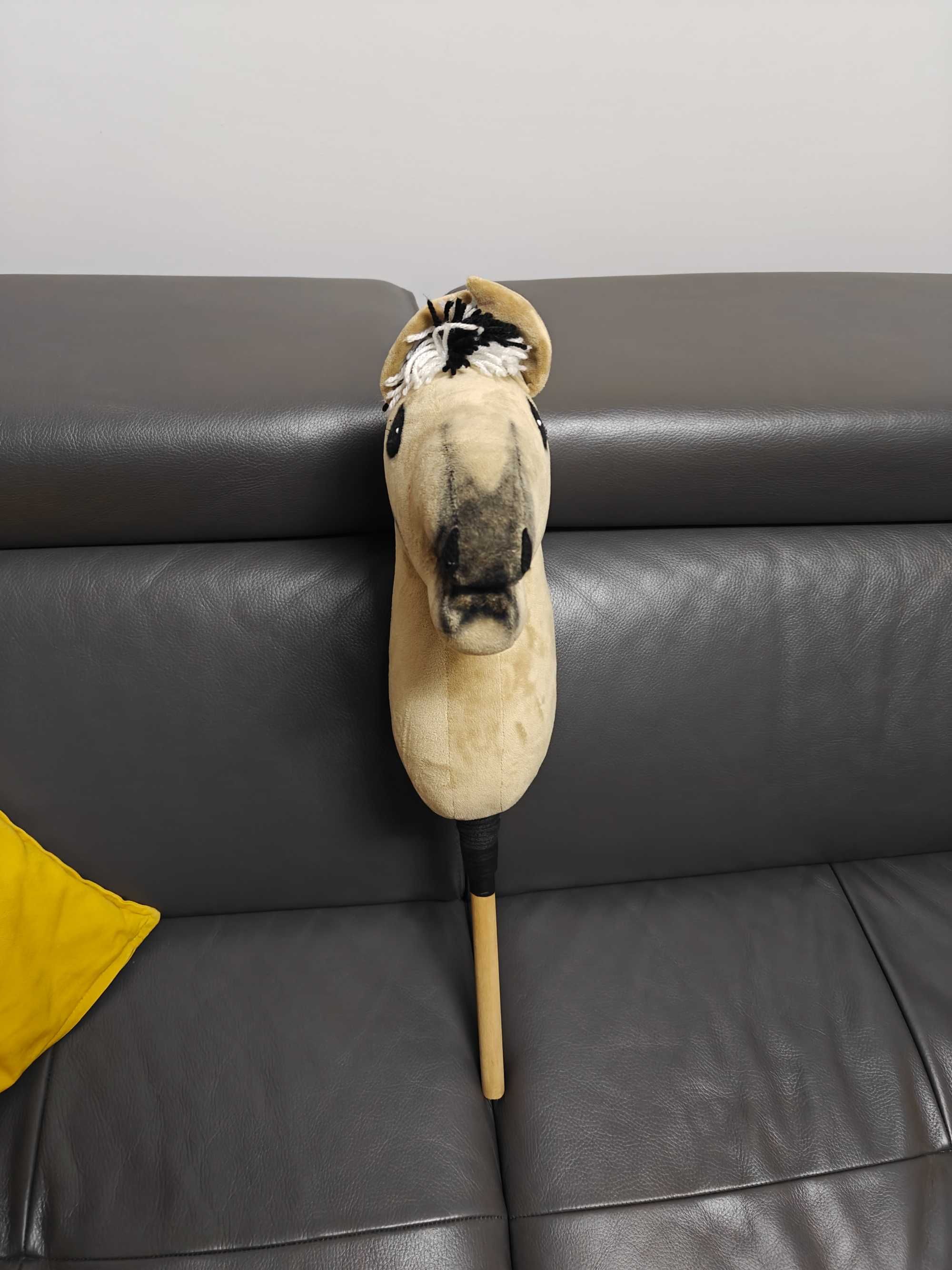 Hobby Horse Fiord + ogłowie