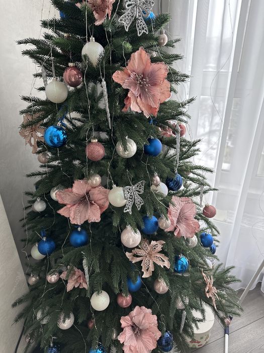 Ялинка лита