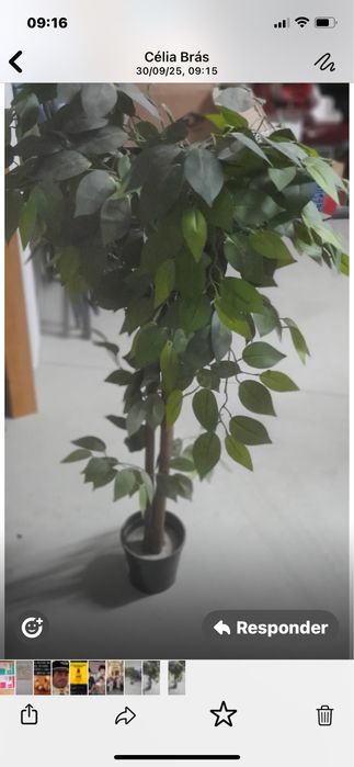 Planta Attificial de decoracão