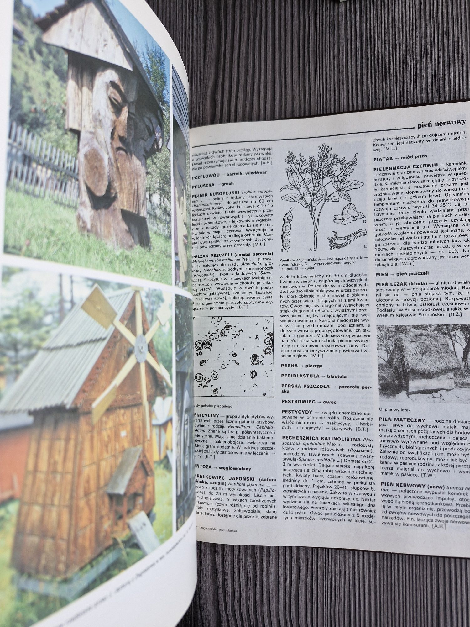 A41. "Encyklopedia pszczelarska" Praca zbiorowa
