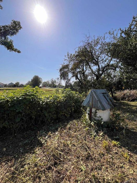 Продаж земельної ділянки Банюнин