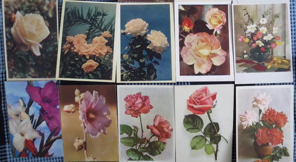 Листівки "Квіти", 1950-ті
