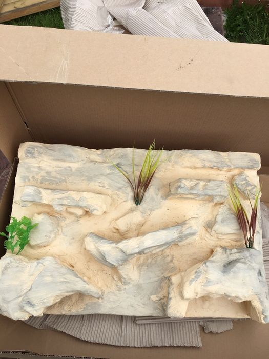Tło 3D terrarium agama wąż gekon