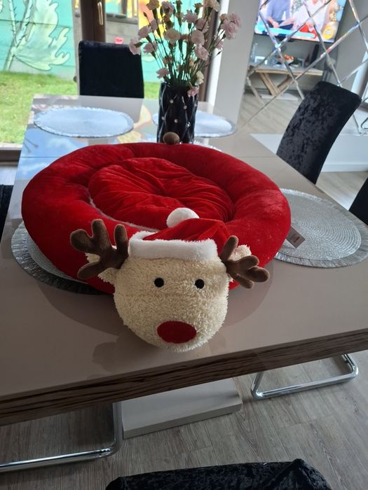 Sprzedam świąteczne legowisko dla psa Home You