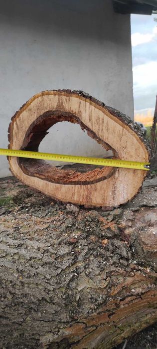 plaster orzecha orzech plastry foszty blat rękodzieło