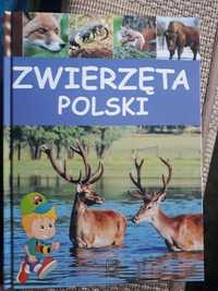 "Zwierzęta Polski". Edukacyjna książka dla dzieci