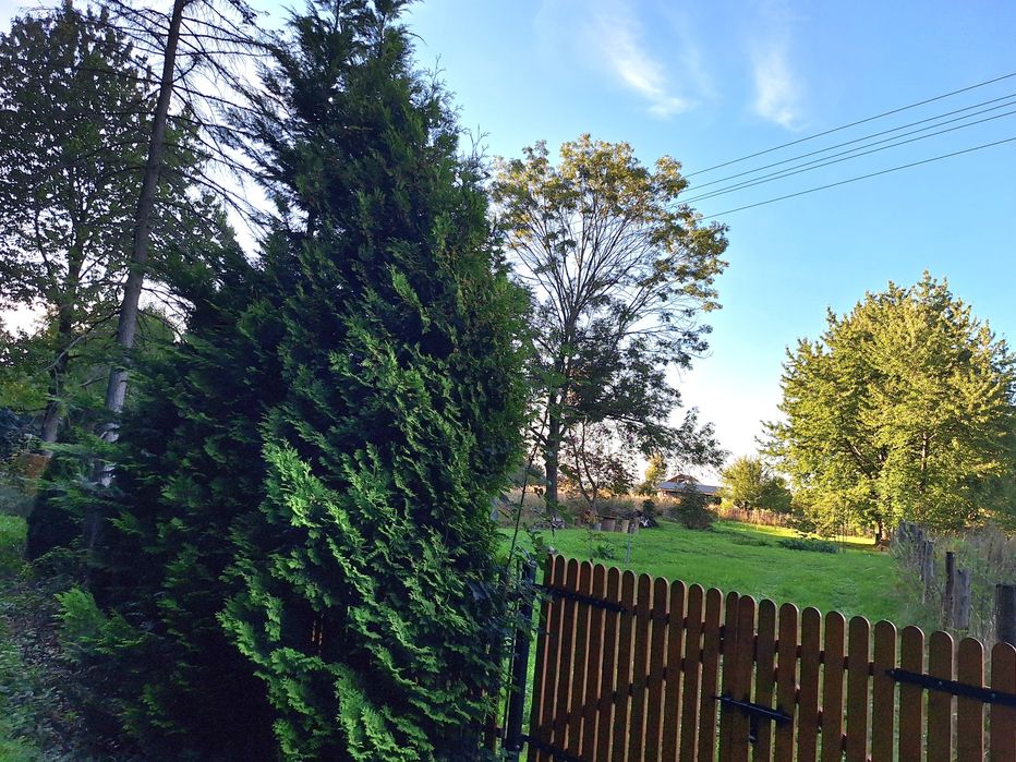 Działka budowlana na Podhuciu, gm. Tarnawatka