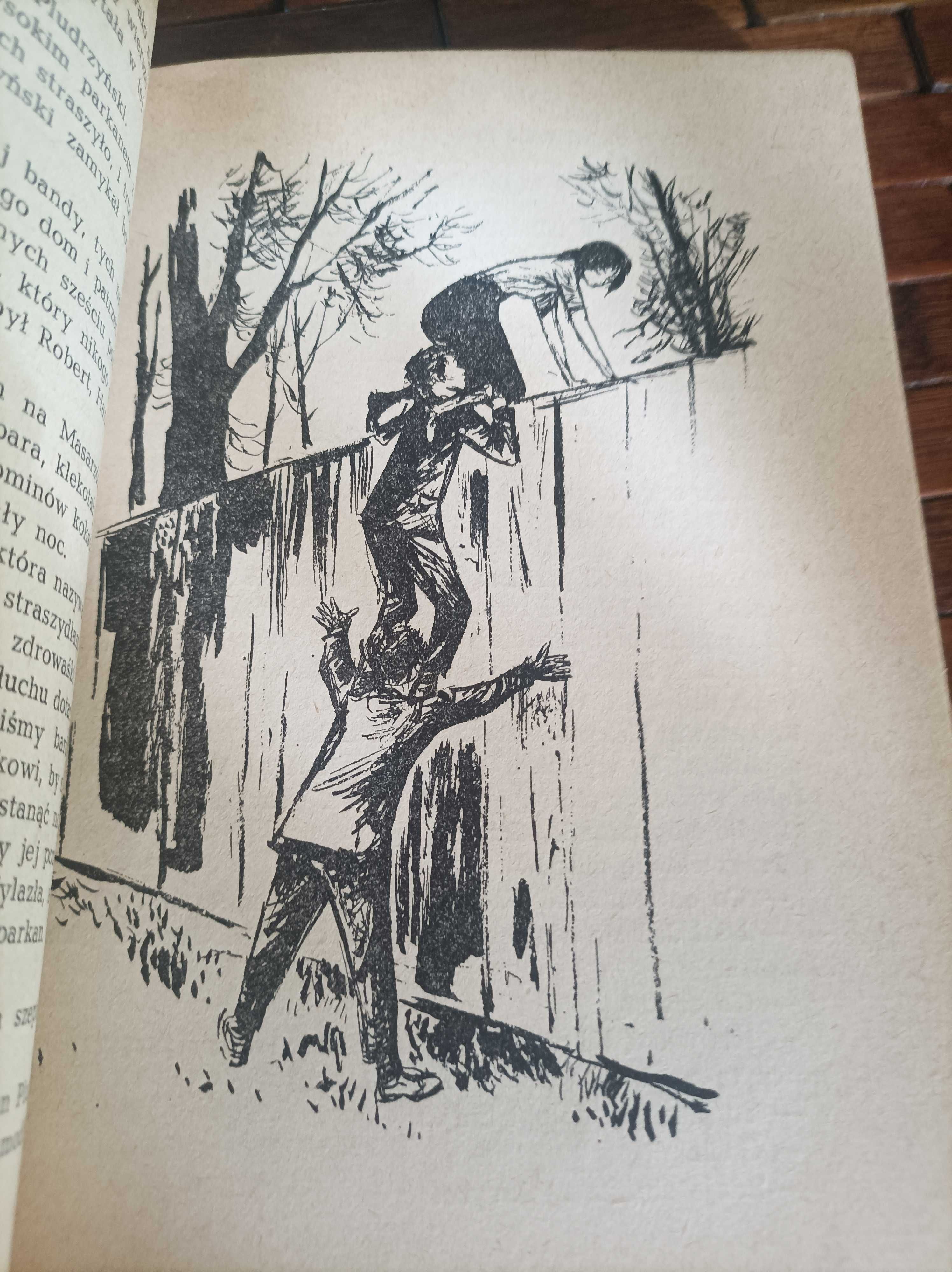 Morcinek czarna Julka ilustracje szancer