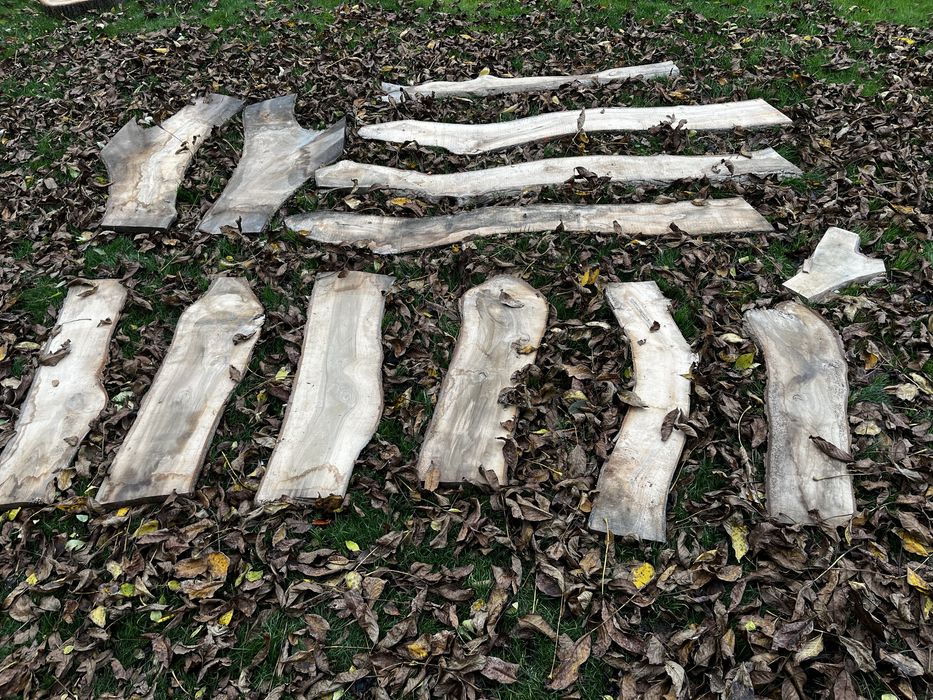 Dechy orzech włoski ostatnie sztuki!