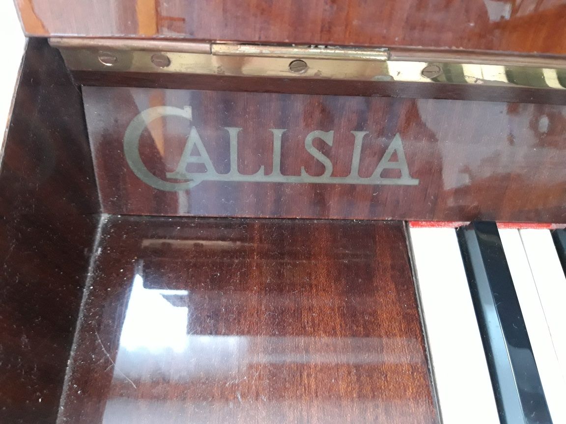 Brązowe Pianino Calisia