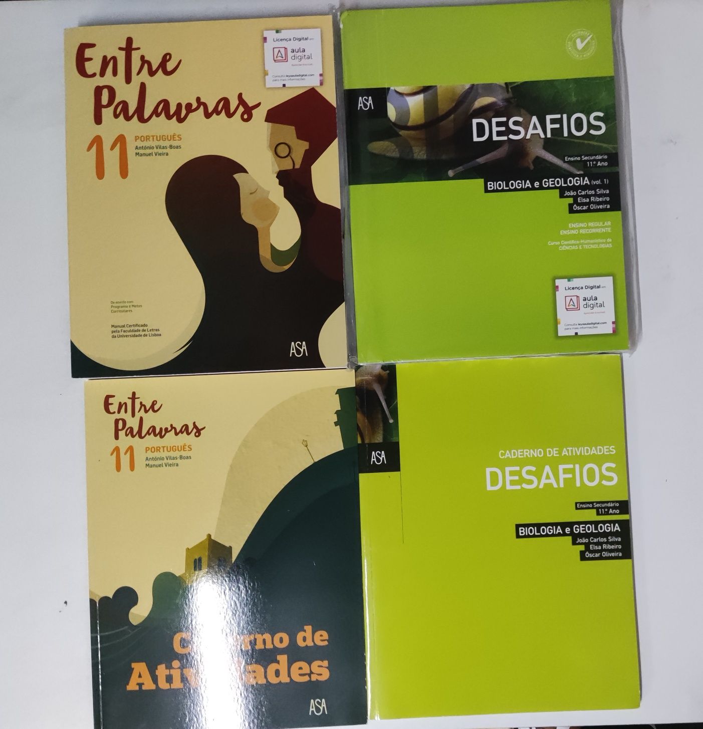 Vendo manuais/ cadernos de atividades 11° ano