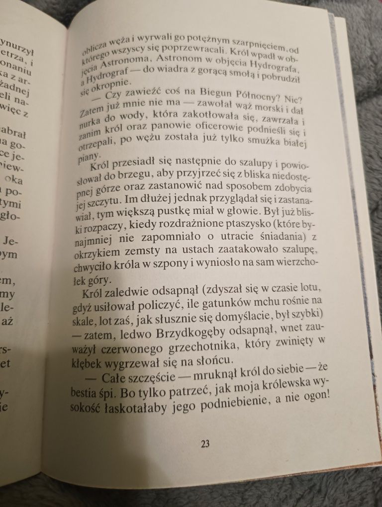Baśń o Królu Brzydkogębym