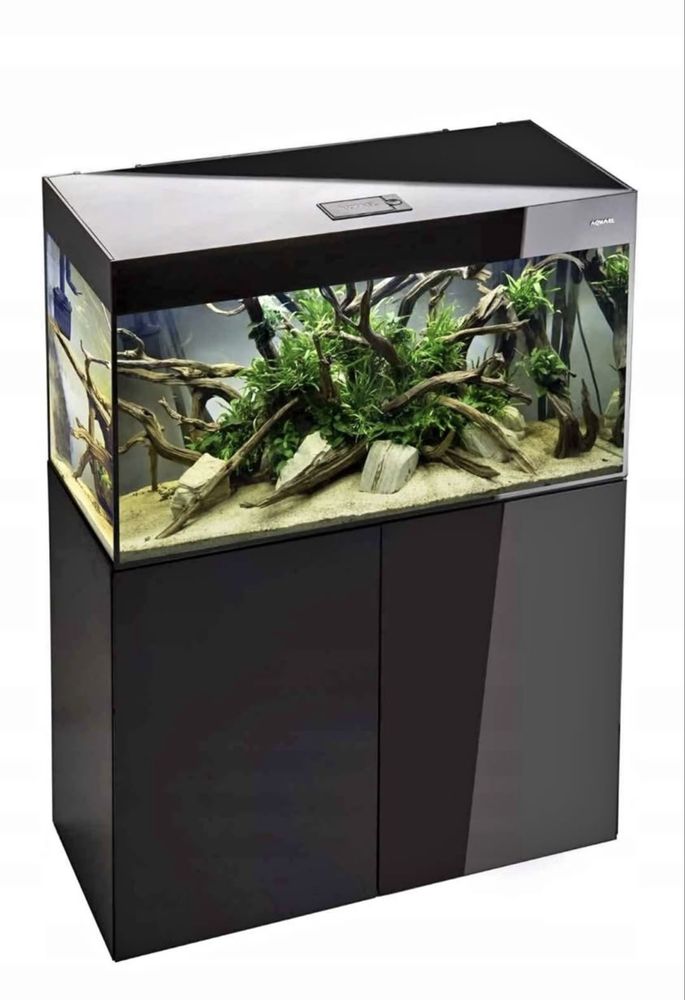 Akwarium Aqael Glossy  ST 100