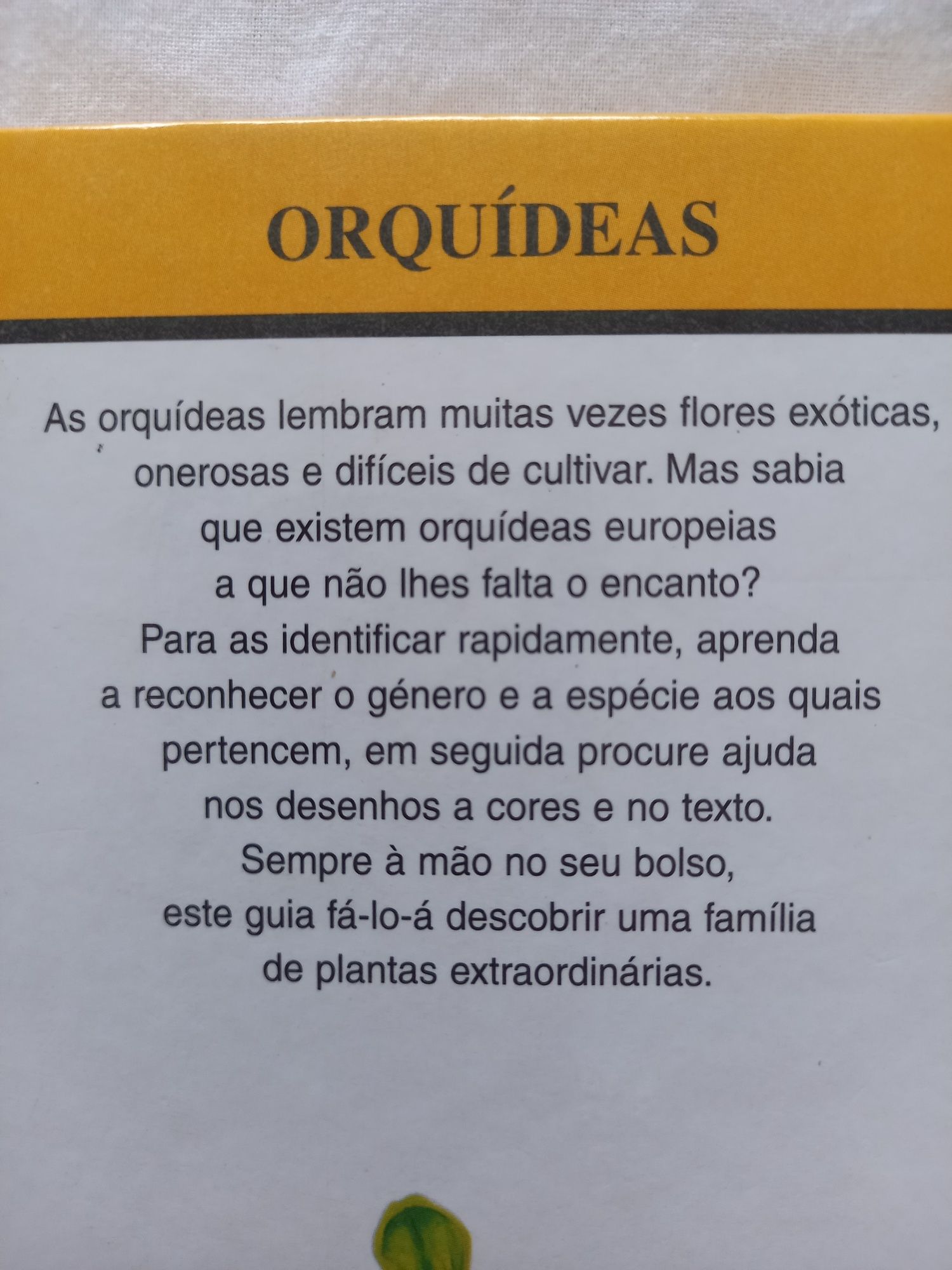 Lote Livros Jardinagem Orquídeas e Suculentas