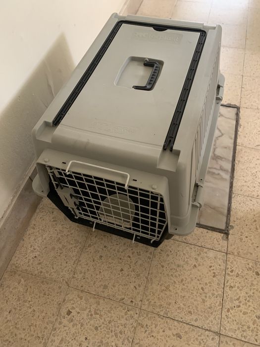 Transportadora animais com rodas