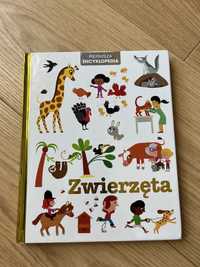 Pierwsza encyklopedia - wydawnictwo Wilga