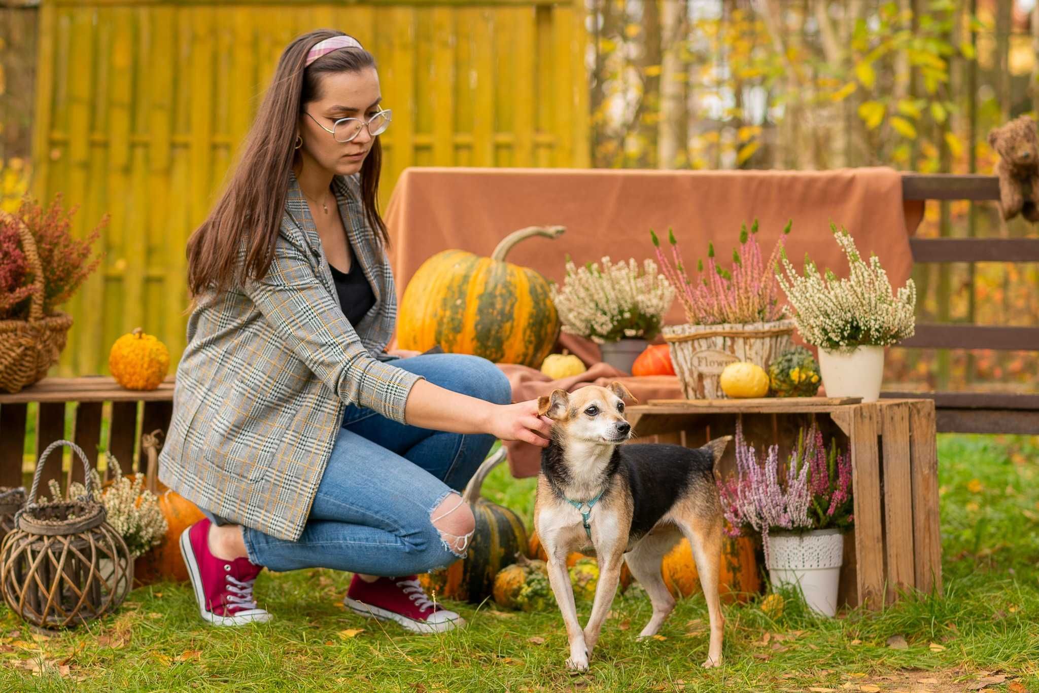 SAMI - psia babcia z charakterem poleca się na kanapę