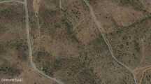 Terreno agricola/florestal com 50 900m2 localizado a 2,5km de Buden...