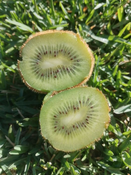 Kiwis 100% biológicos