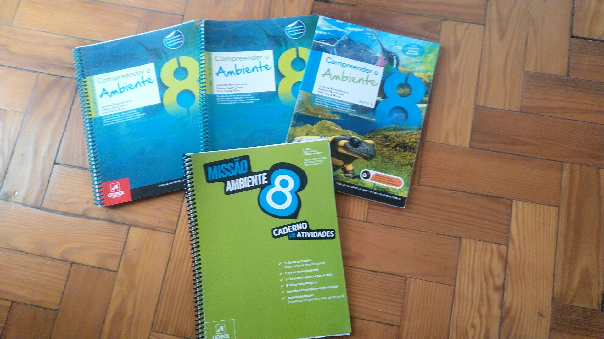 Livros 8° escolaridade (3€ unid.)