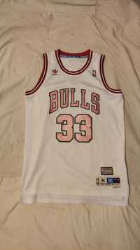 Camisola Retro Clássico NBA Pippen Chicago Bulls adidas

Hardwood Clas