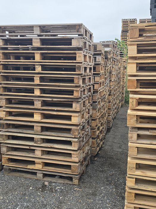 Palety 1200x800, palety jednorazowe