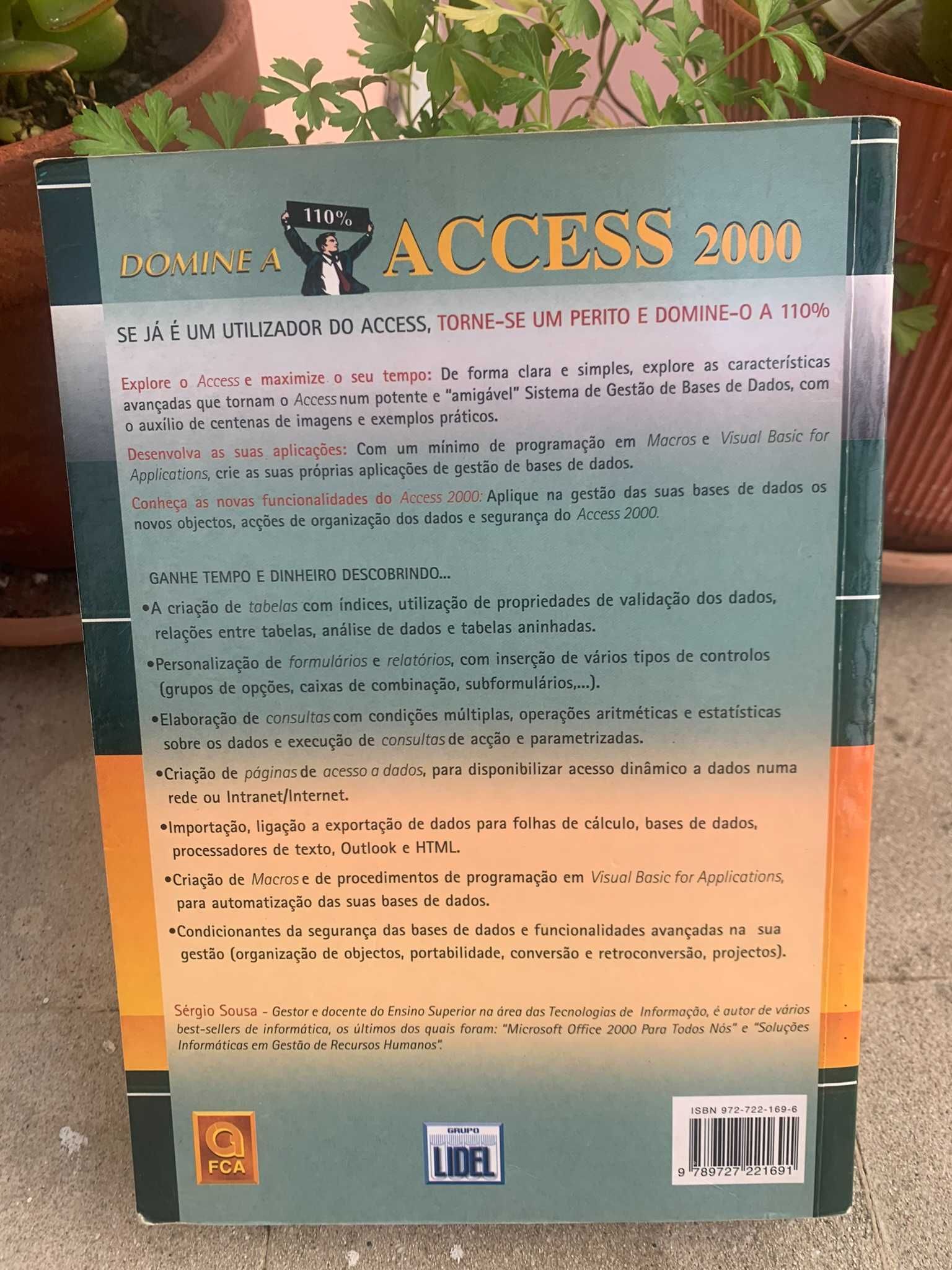 Domine a 100% Access 2000 6a edição