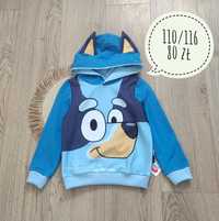 Bluza dresowa Bluey