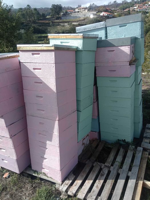 Colmeias com enxames eutros equipamentes