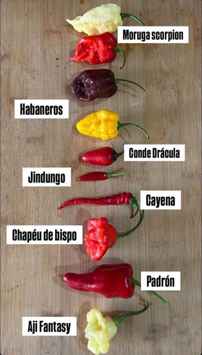 Picante piripiri
