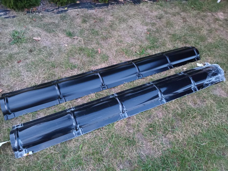 Kalenica barylkowa mala