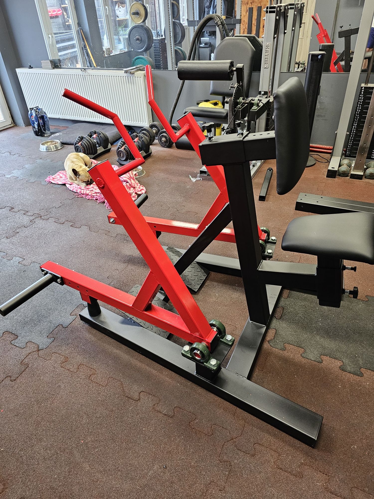 HATOR Maszyna do wiosłowania na plecy / row machine