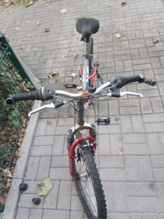 Kross 24" rower Tanio