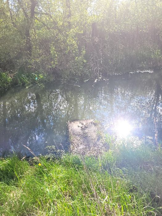 Дом , будинок на Дніпрі, хата в Чепаевке, дача,  ділянкана березі