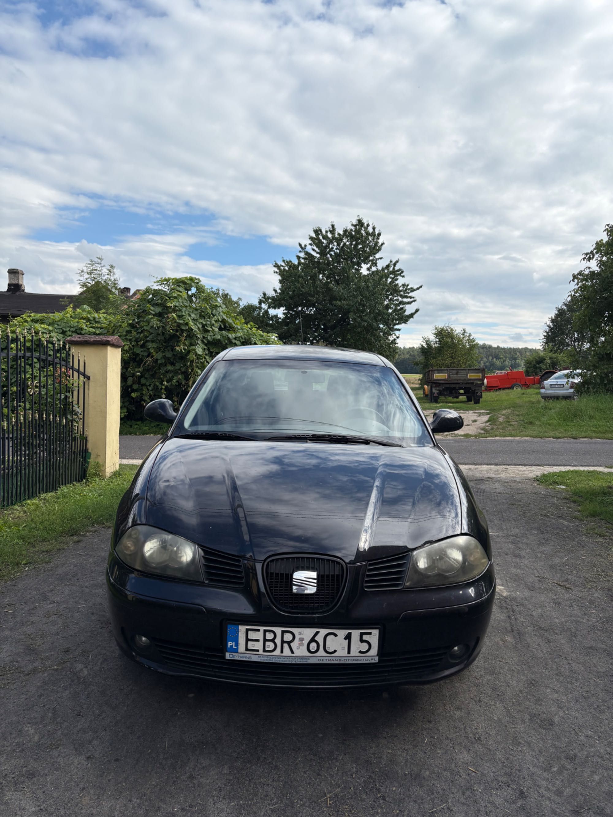 Seat Ibiza 2004 v16 Benzyna