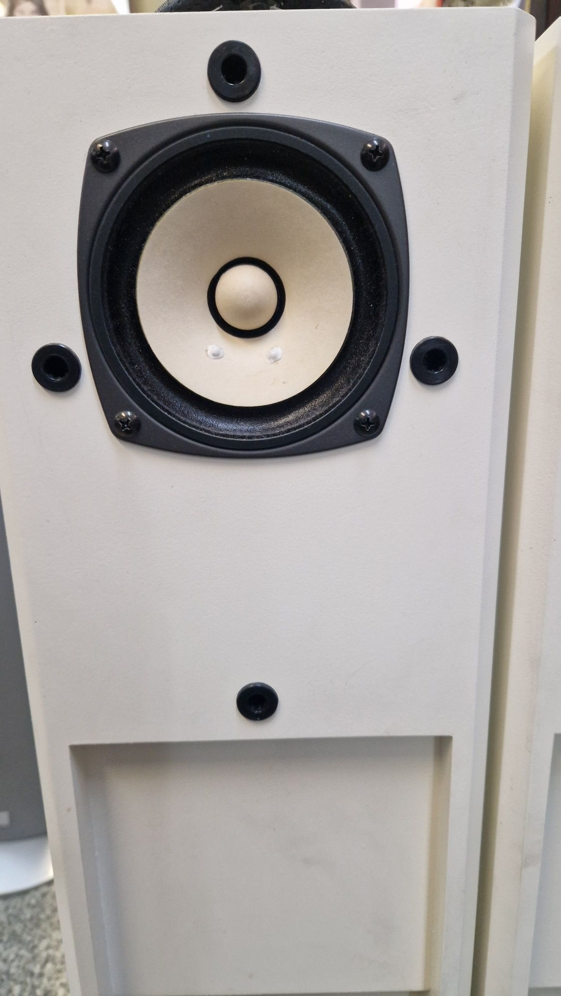 Динаміки Fostex FE 103E в акустиці Лабіринт
